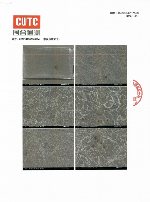检测图片1